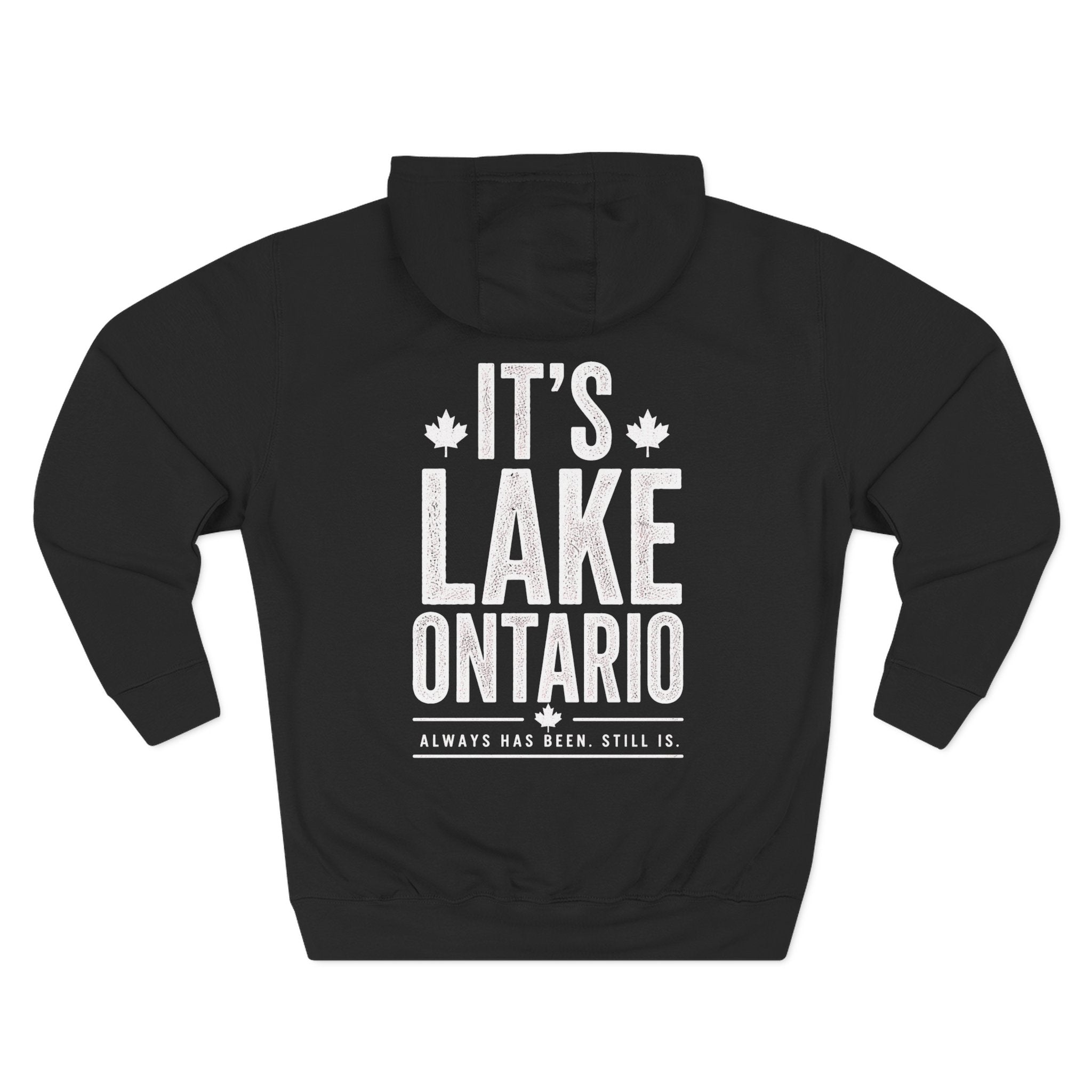 It’s Lake Ontario Hoodie