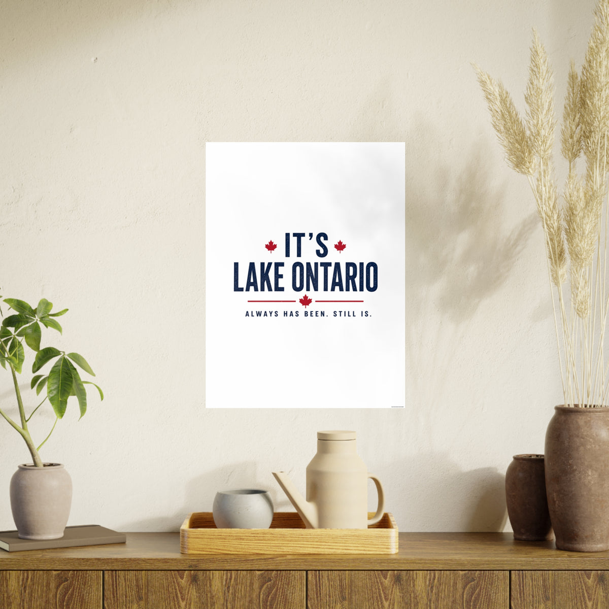 It's Lake Ontario Art Print