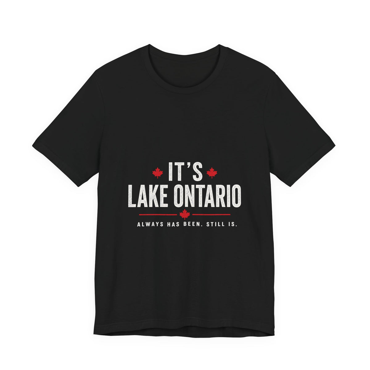 It’s Lake Ontario. Always has been. Still is. 🇨🇦