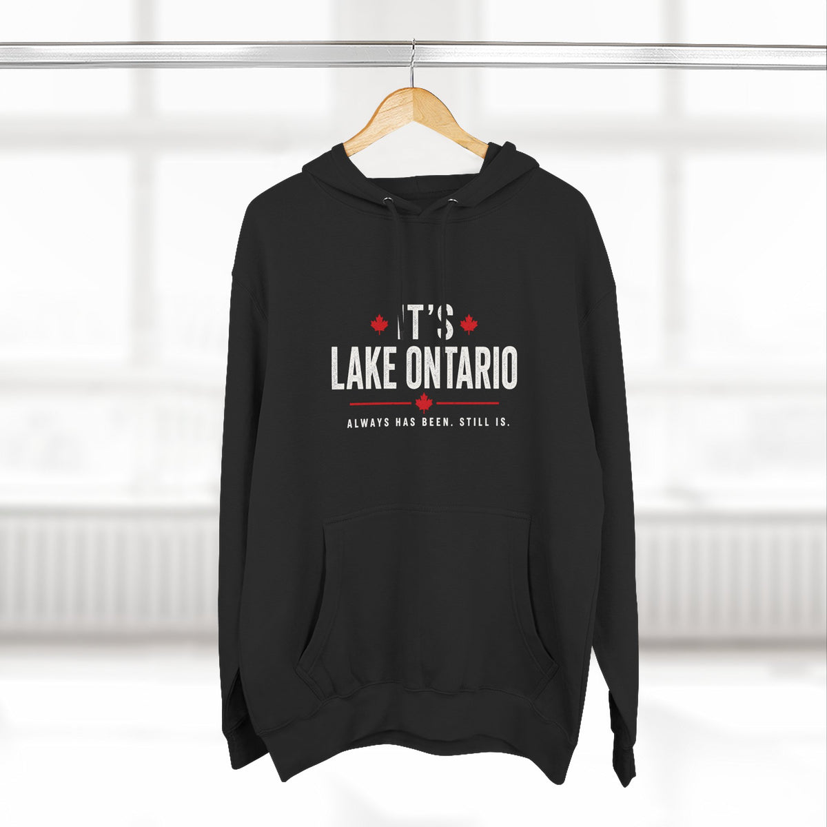 It's Lake Ontario Hoodie
