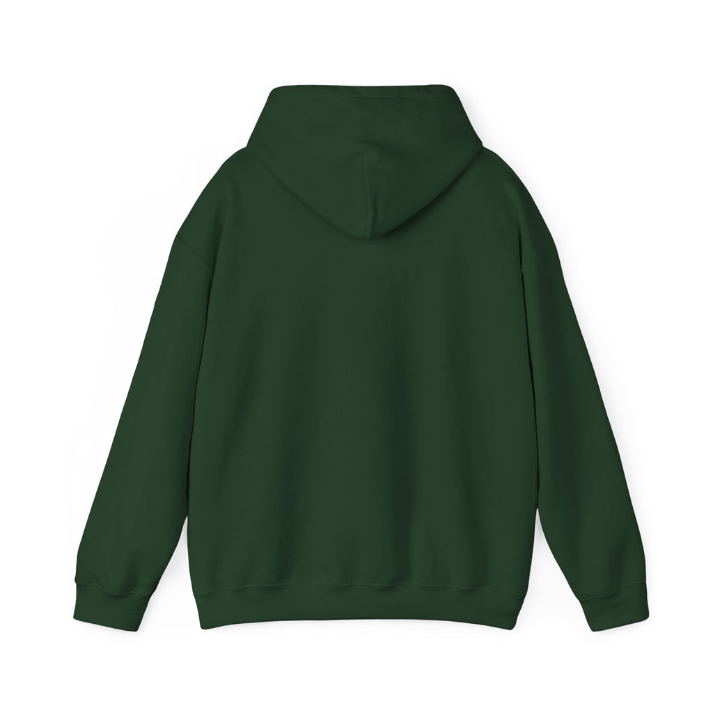 Jolly Christmas Hoodie, holly jolly holiday hoodie