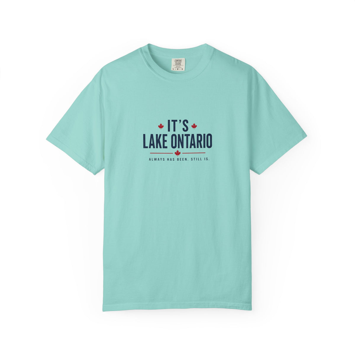 It's Lake Ontario Vintage Wash Tee