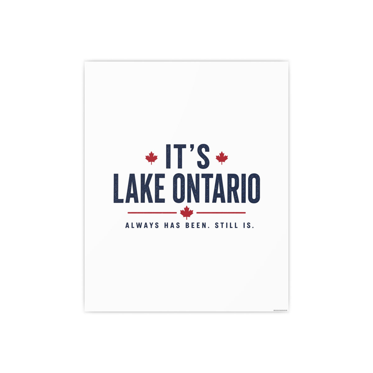 It's Lake Ontario Art Print