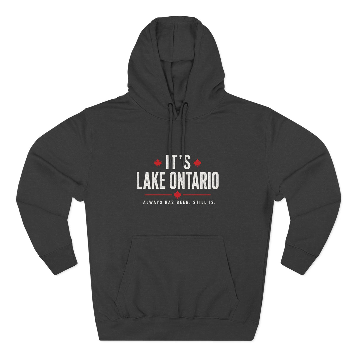 It's Lake Ontario Hoodie