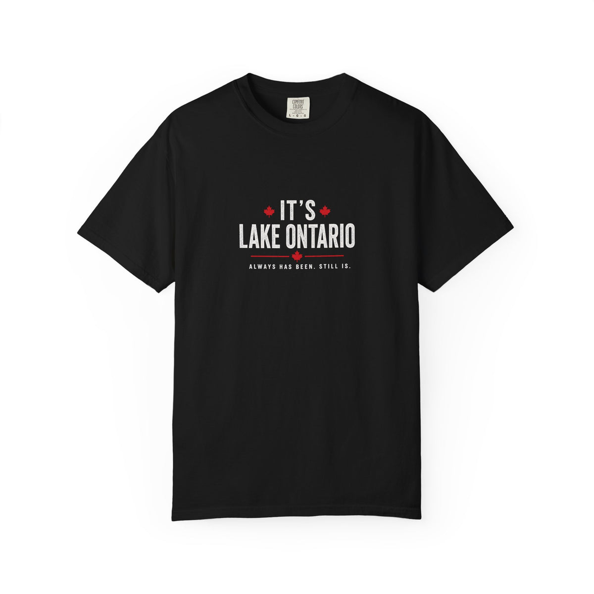 It's Lake Ontario Vintage Wash Tee