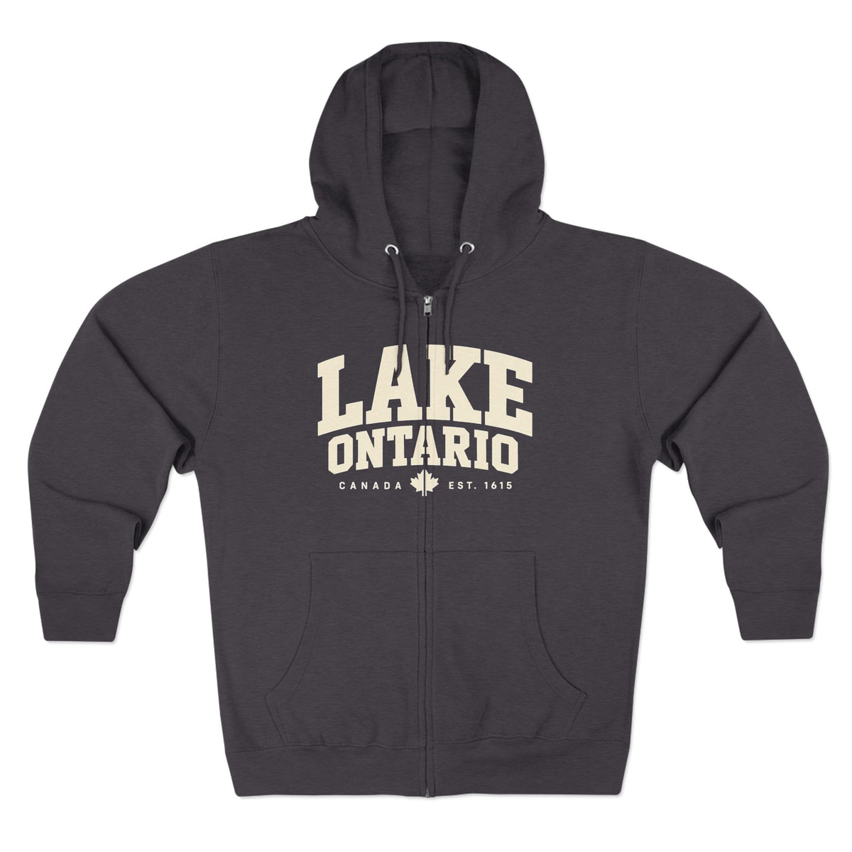 Lake Ontario zip hoodie, close-up of chest graphic