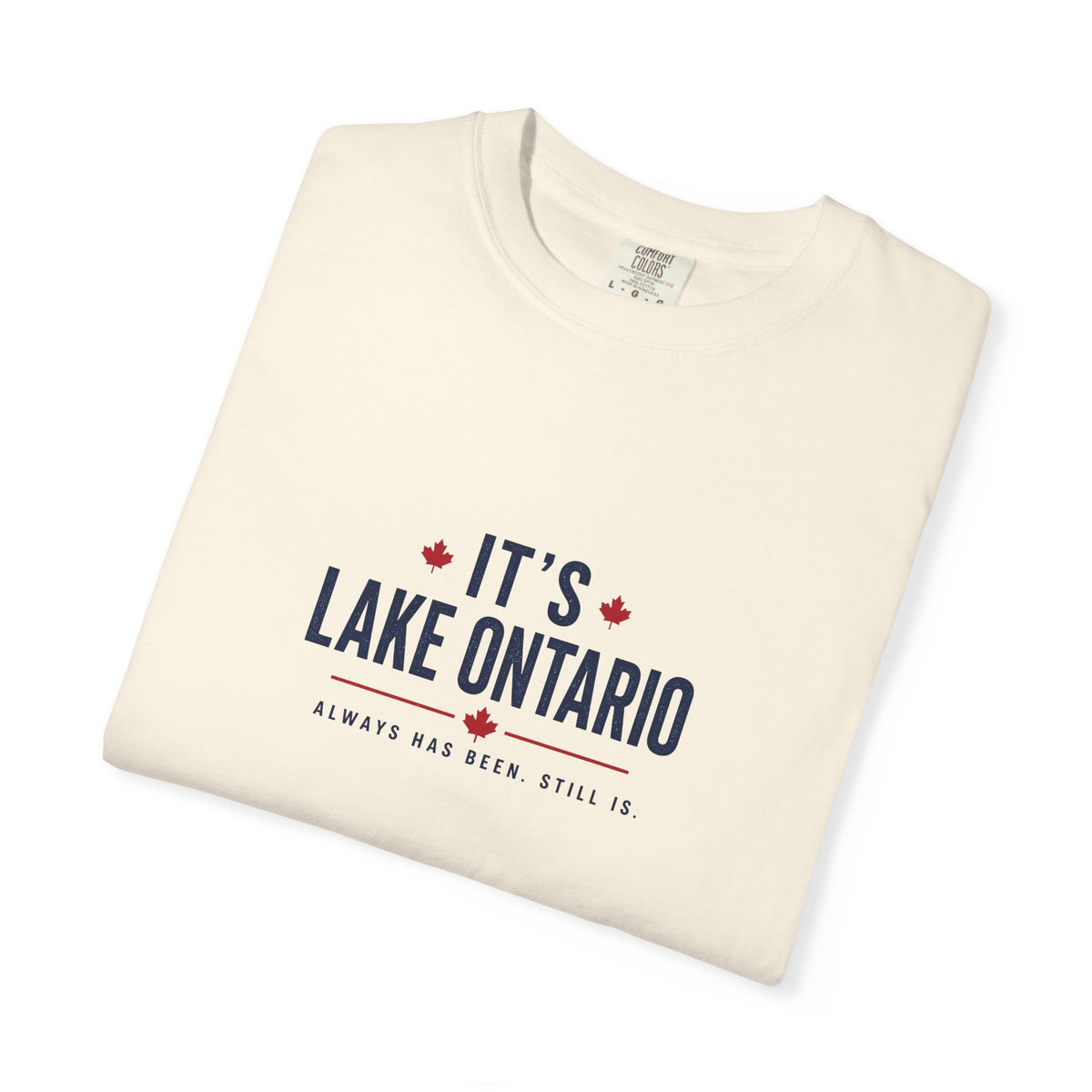 It's Lake Ontario Vintage Wash Tee