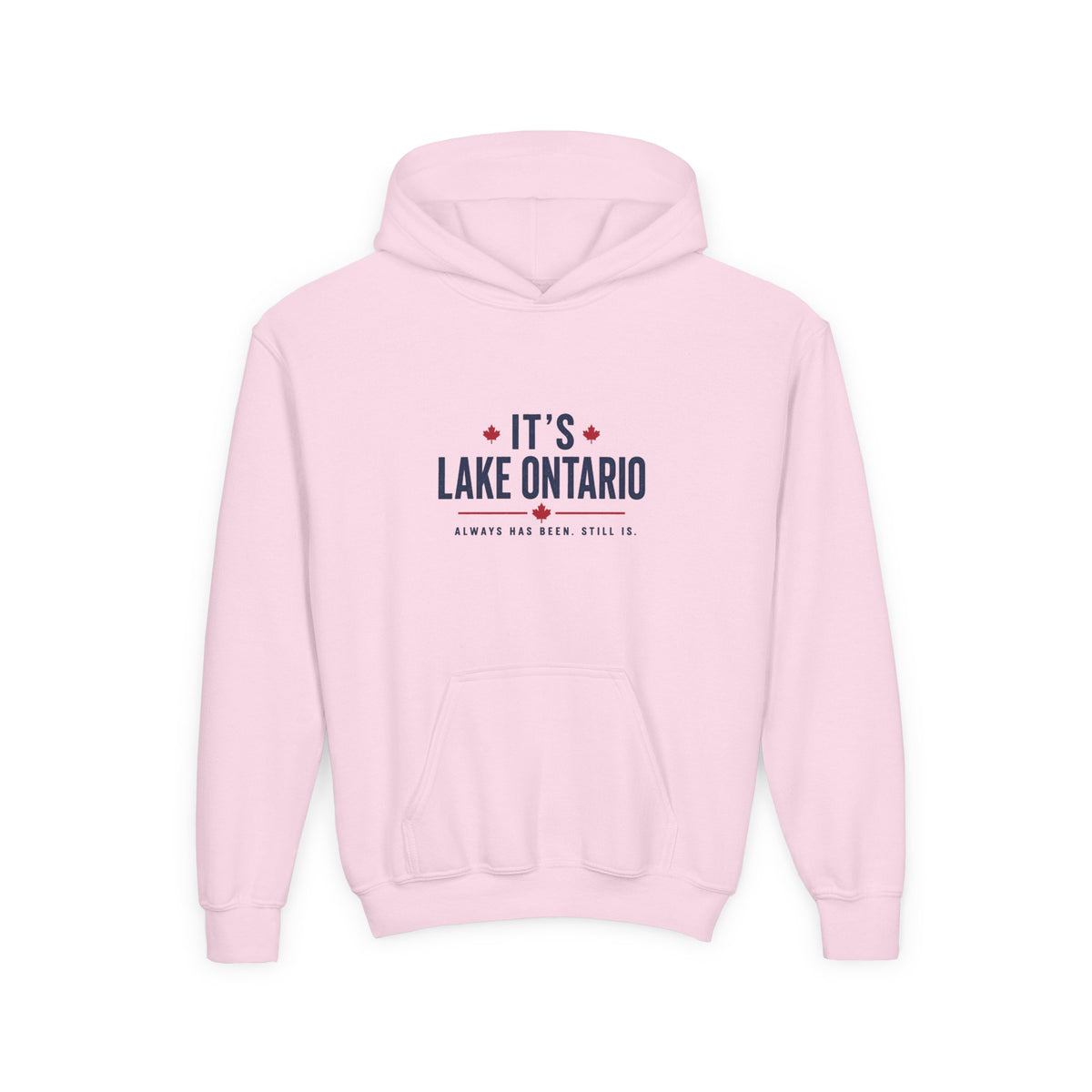 It's Lake Ontario Youth Hoodie