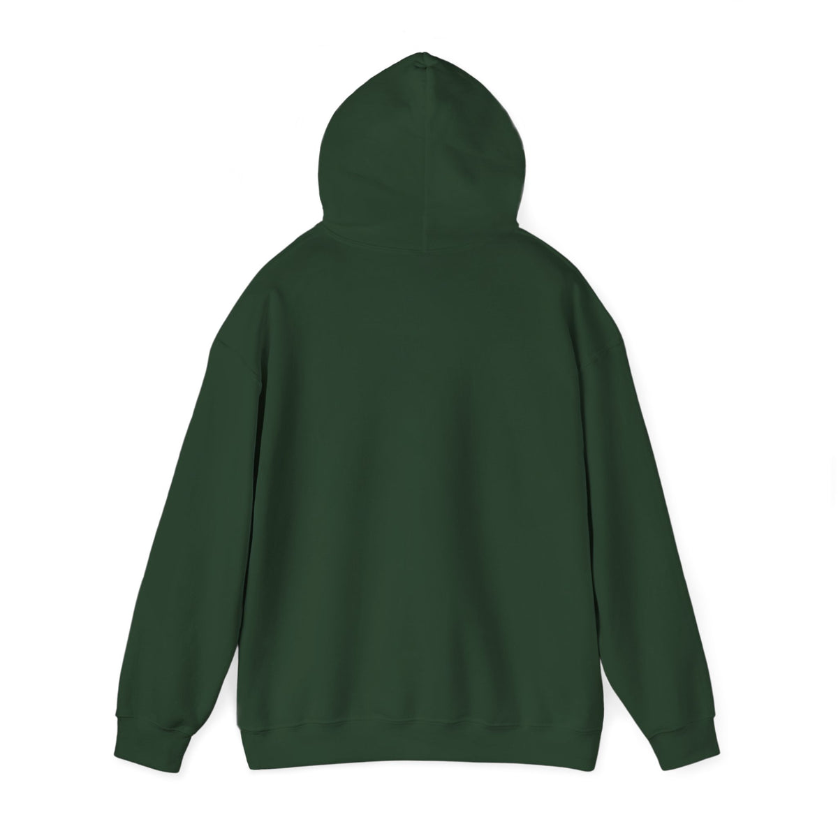 Jolly Christmas Hoodie, holly jolly holiday hoodie