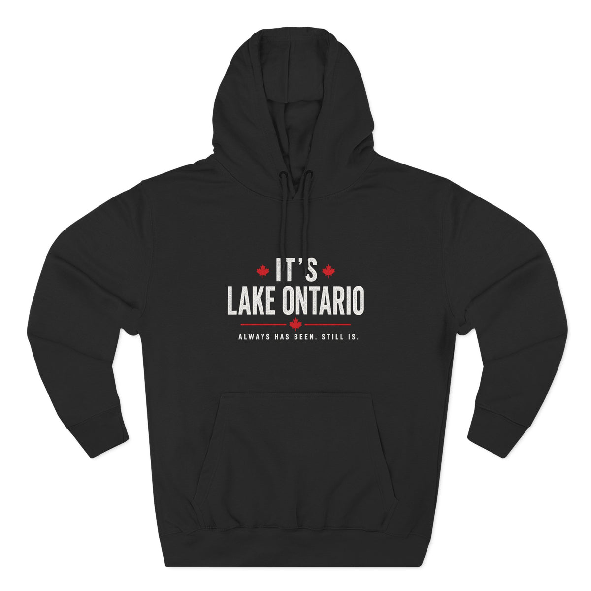 It's Lake Ontario Hoodie