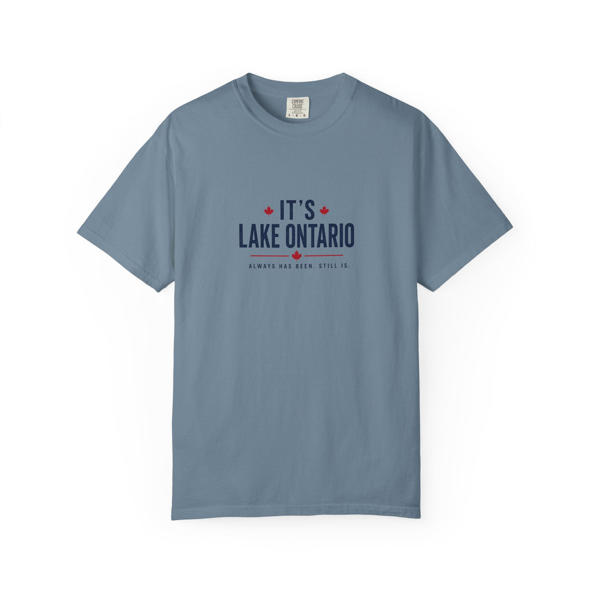It's Lake Ontario Vintage Wash Tee
