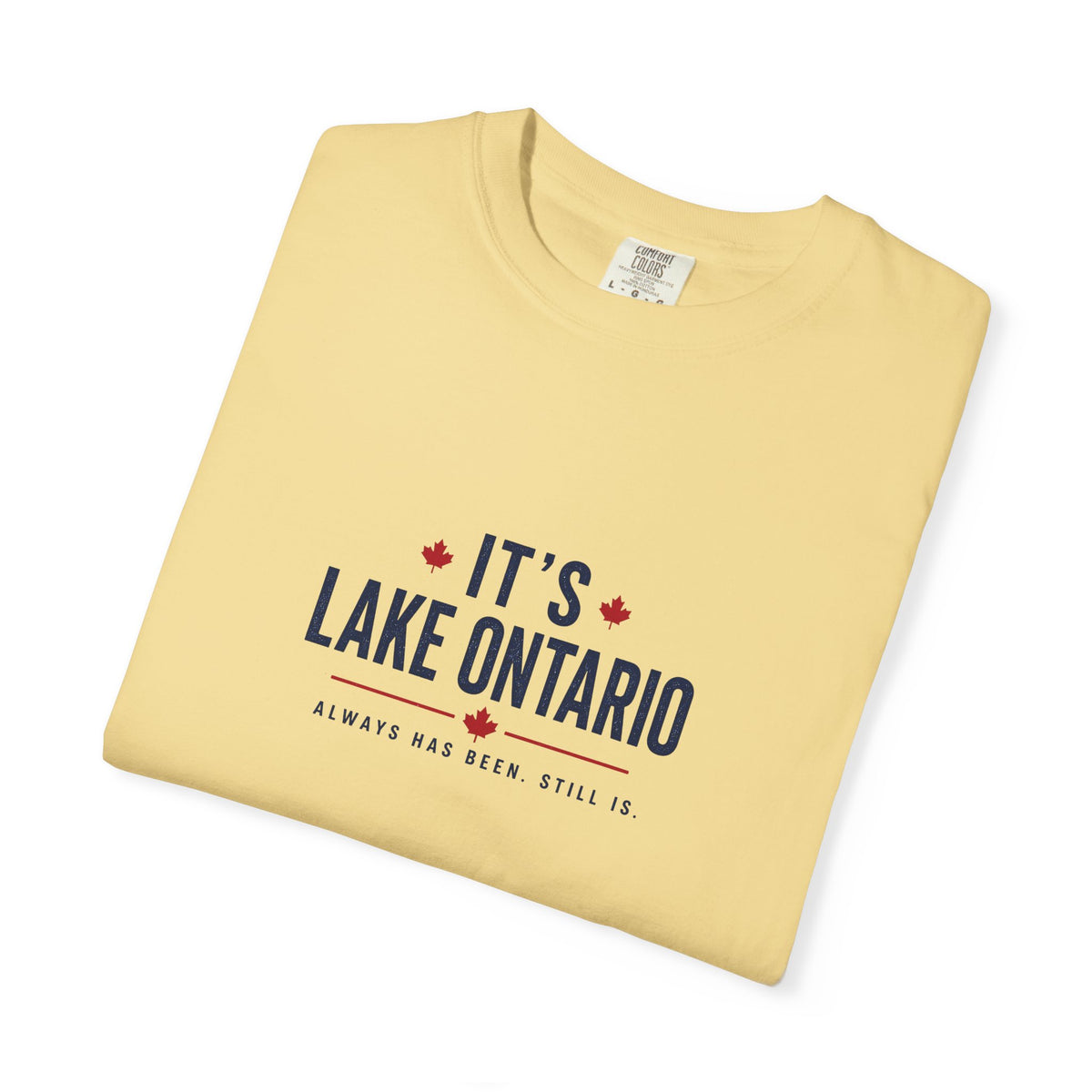It's Lake Ontario Vintage Wash Tee