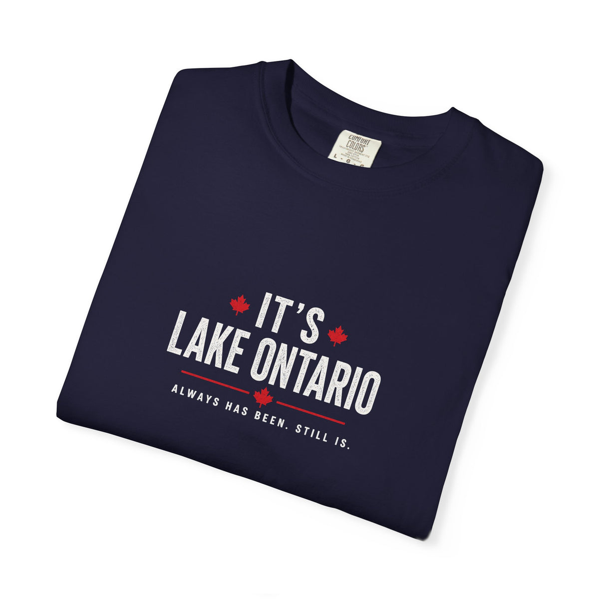 It's Lake Ontario Vintage Wash Tee