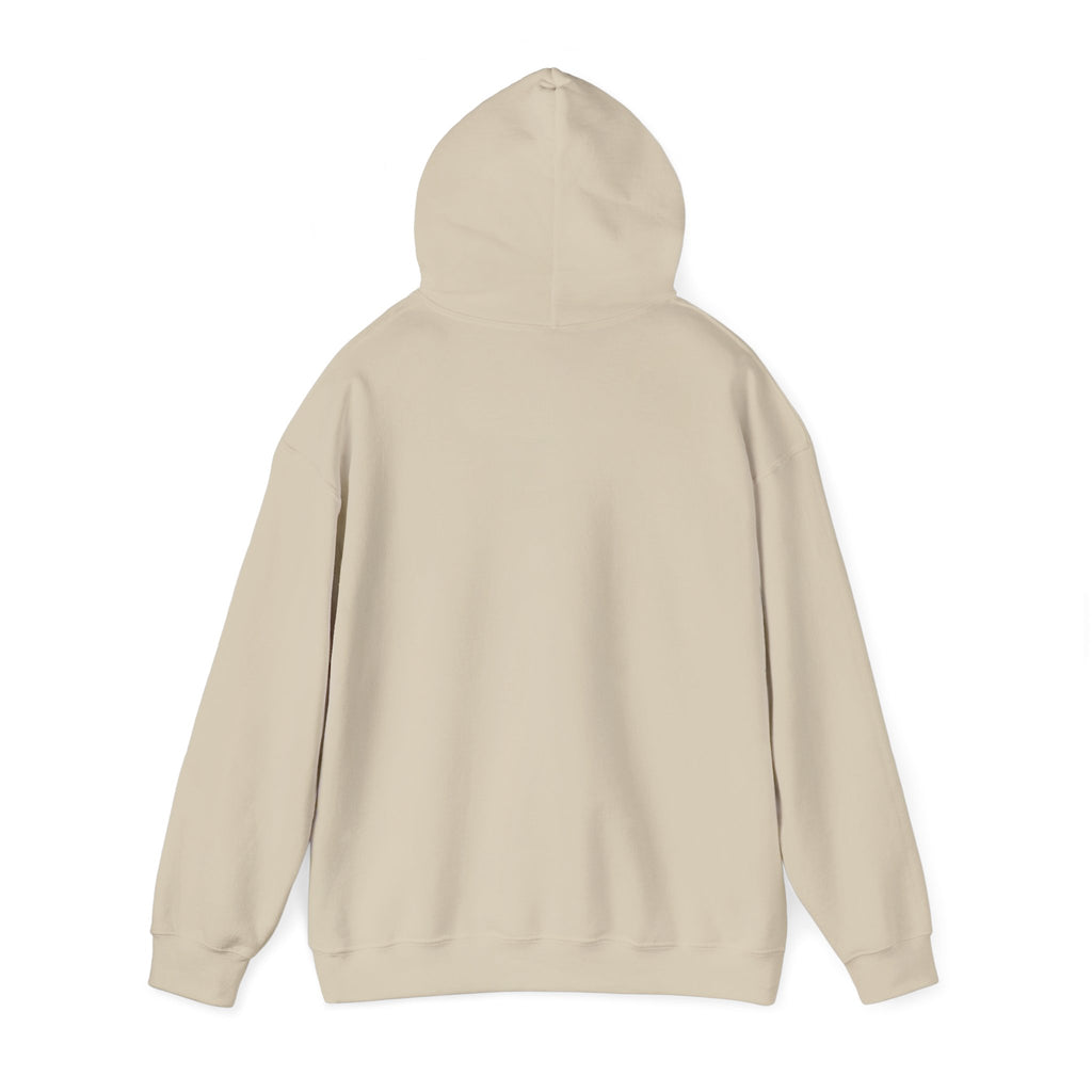 Jolly Christmas Hoodie, holly jolly holiday hoodie