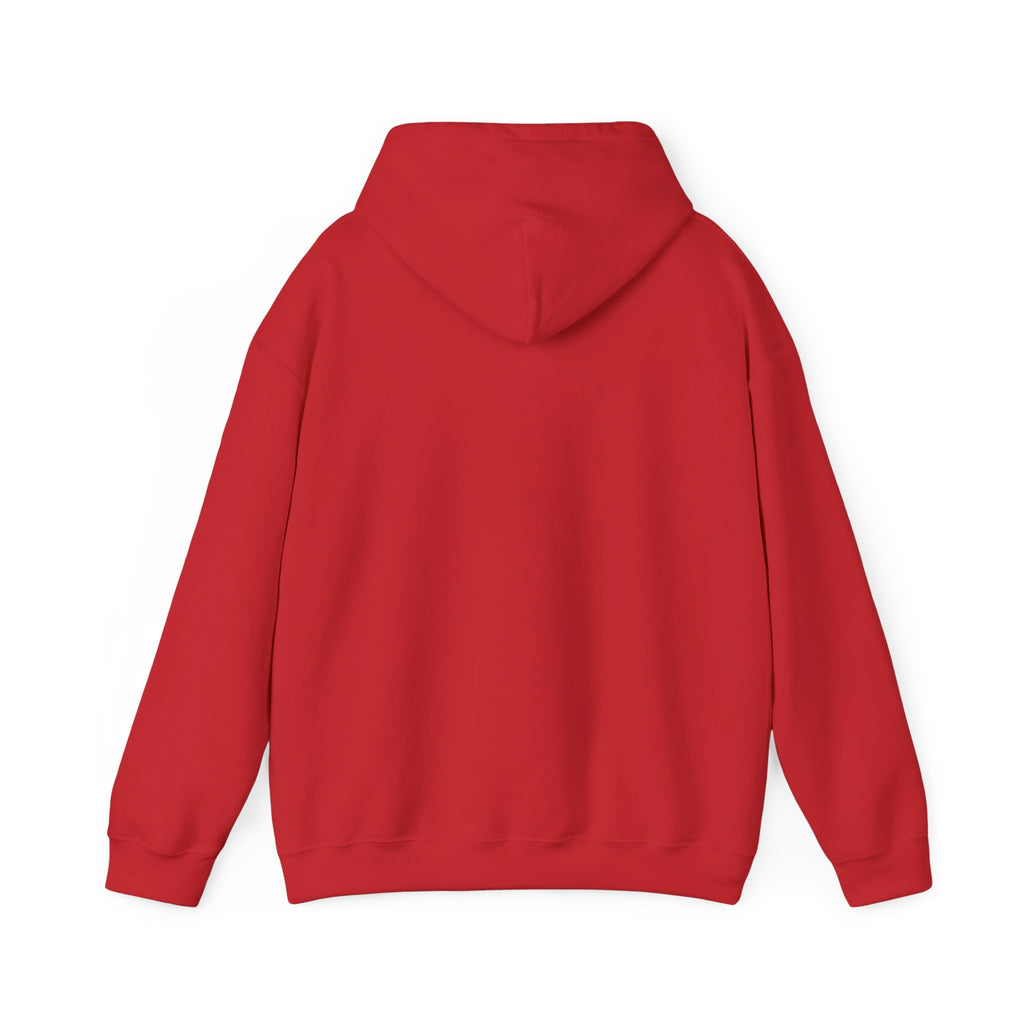 Jolly Christmas Hoodie, holly jolly holiday hoodie