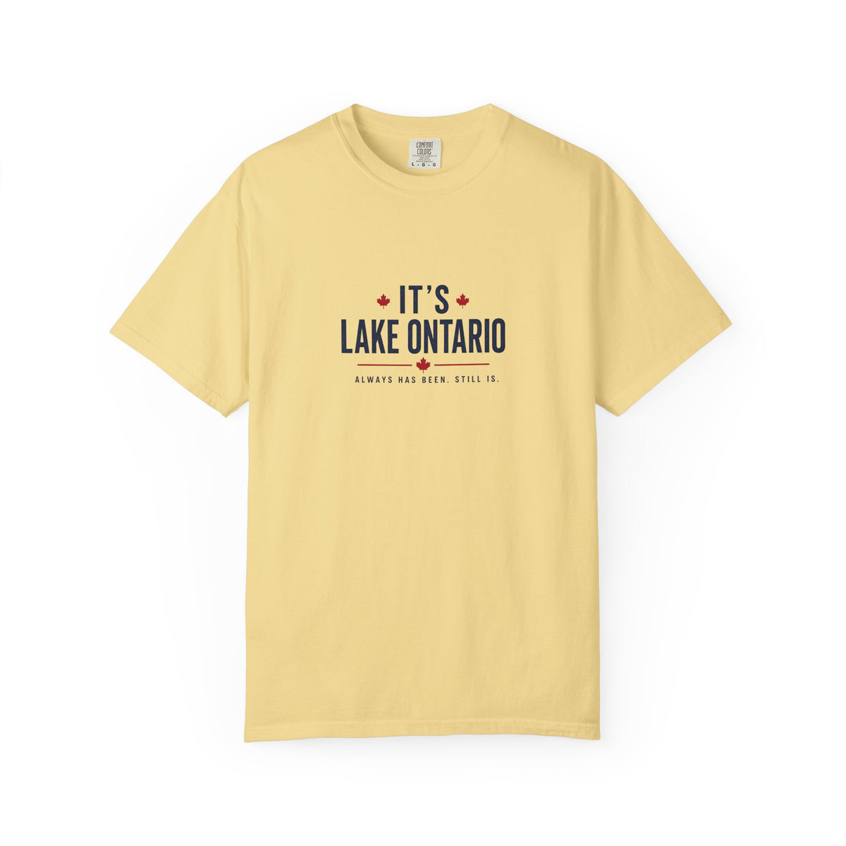 It's Lake Ontario Vintage Wash Tee