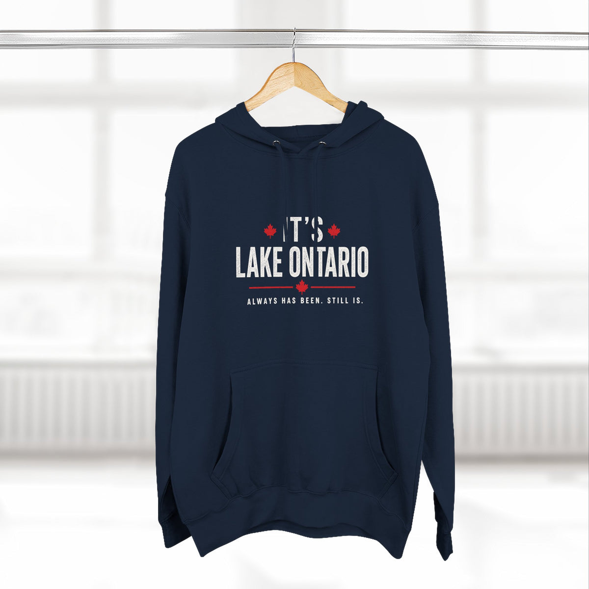 It's Lake Ontario Hoodie