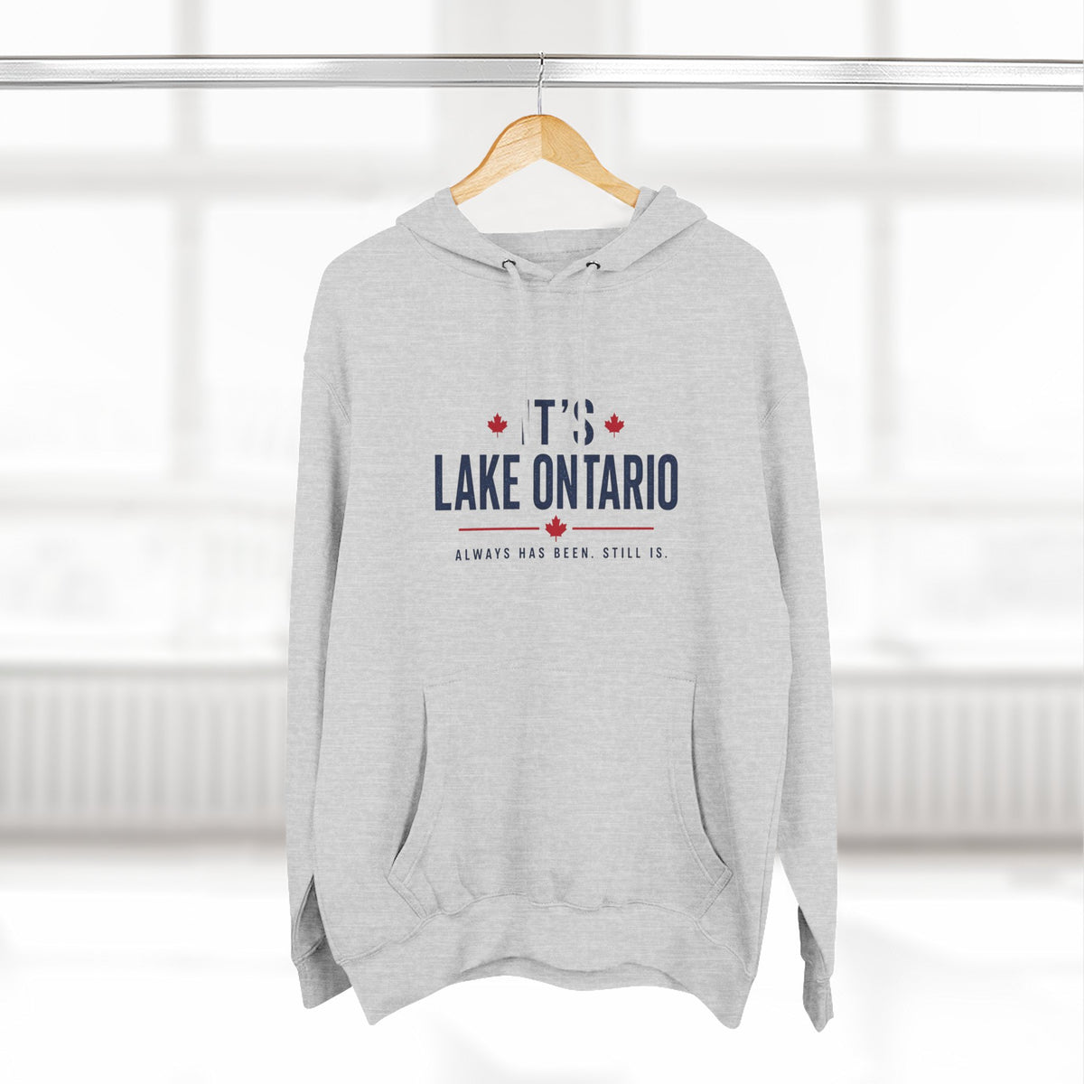 It's Lake Ontario Hoodie