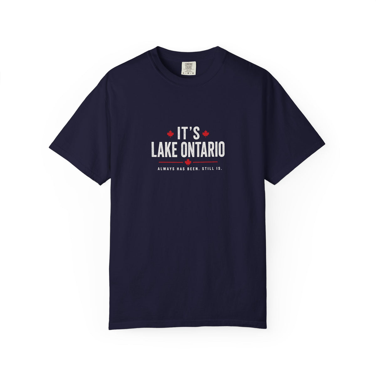 It's Lake Ontario Vintage Wash Tee
