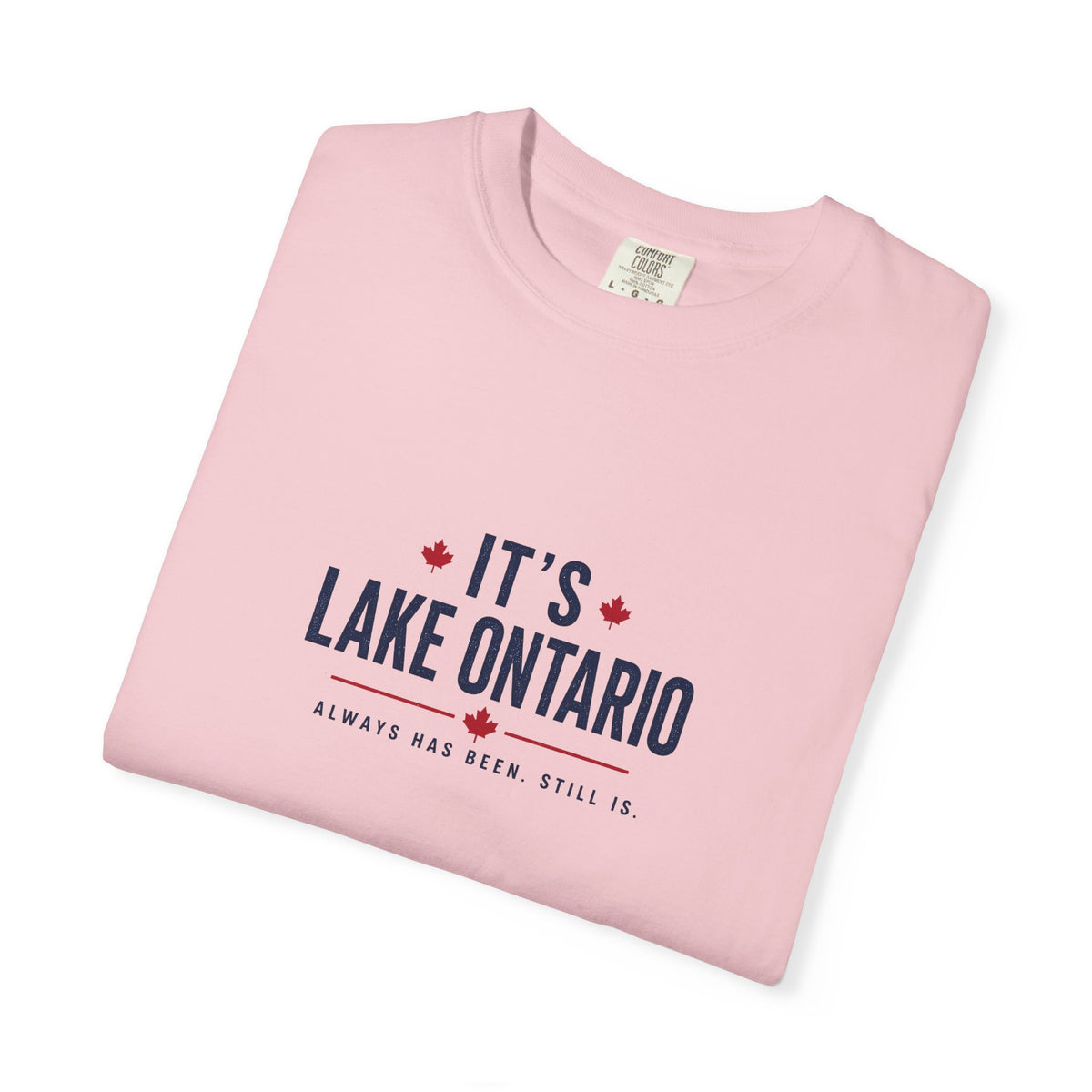 It's Lake Ontario Vintage Wash Tee