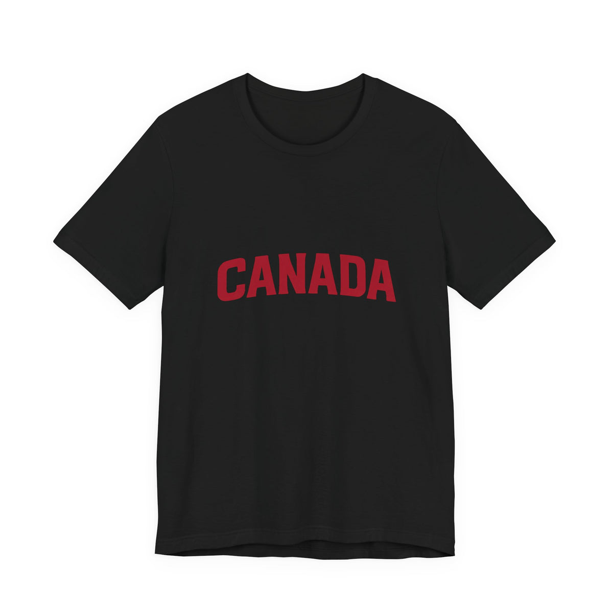 It's Lake Ontario Canada wordmark tee - product photo 4