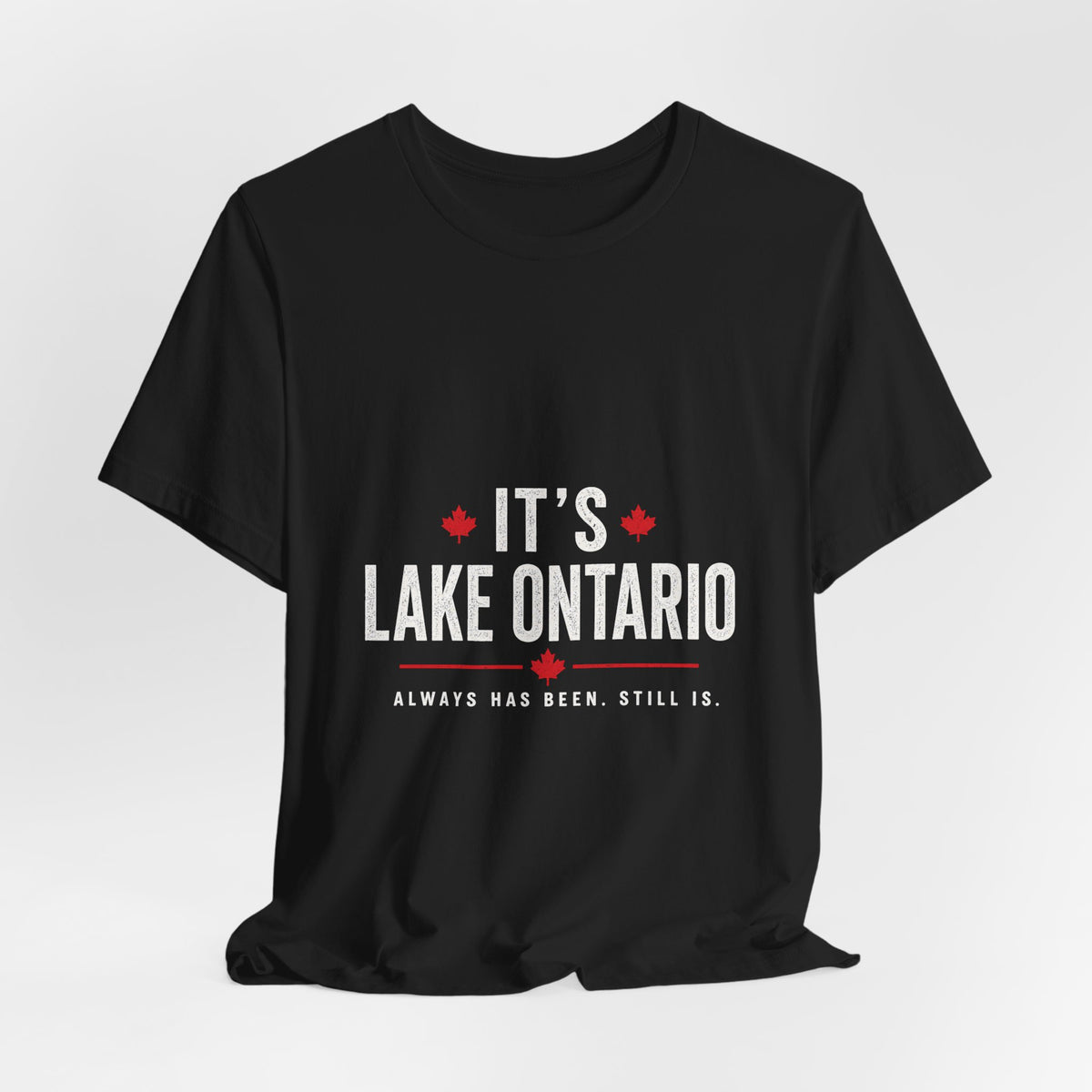 It’s Lake Ontario. Always has been. Still is. 🇨🇦