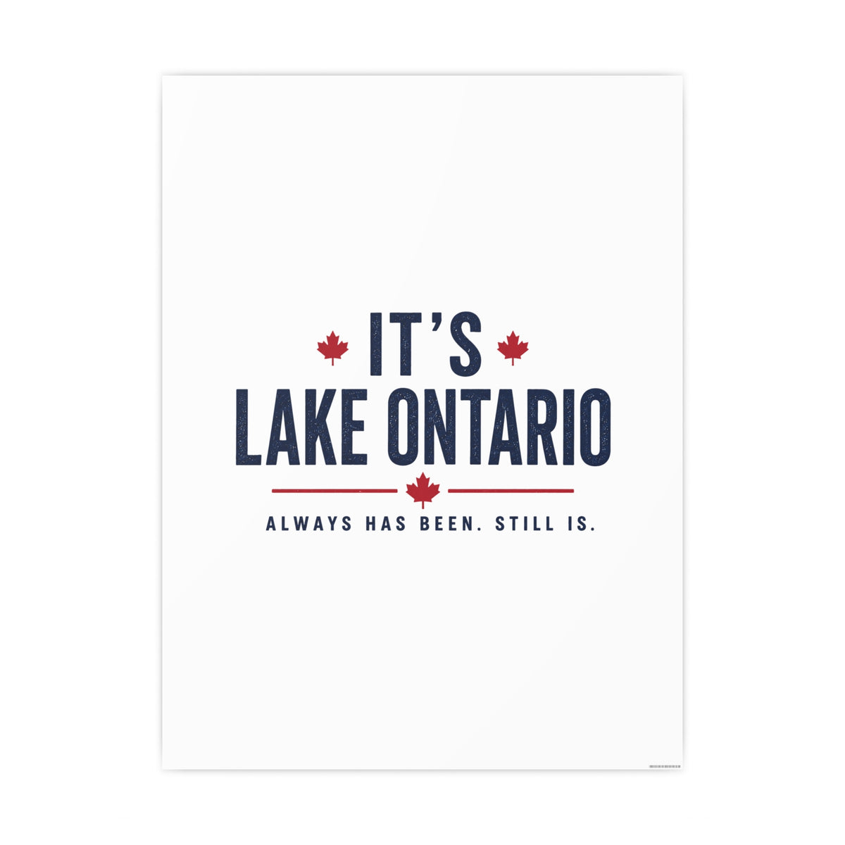 It's Lake Ontario Art Print