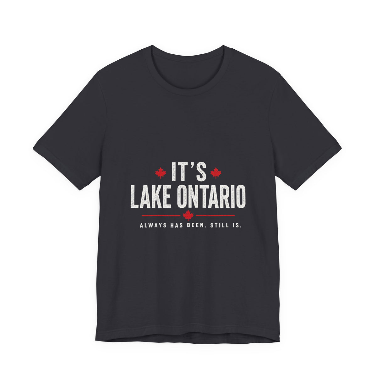 It’s Lake Ontario. Always has been. Still is. 🇨🇦