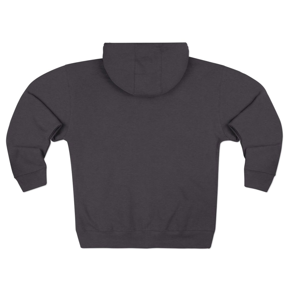 Lake Ontario zip hoodie, model front view