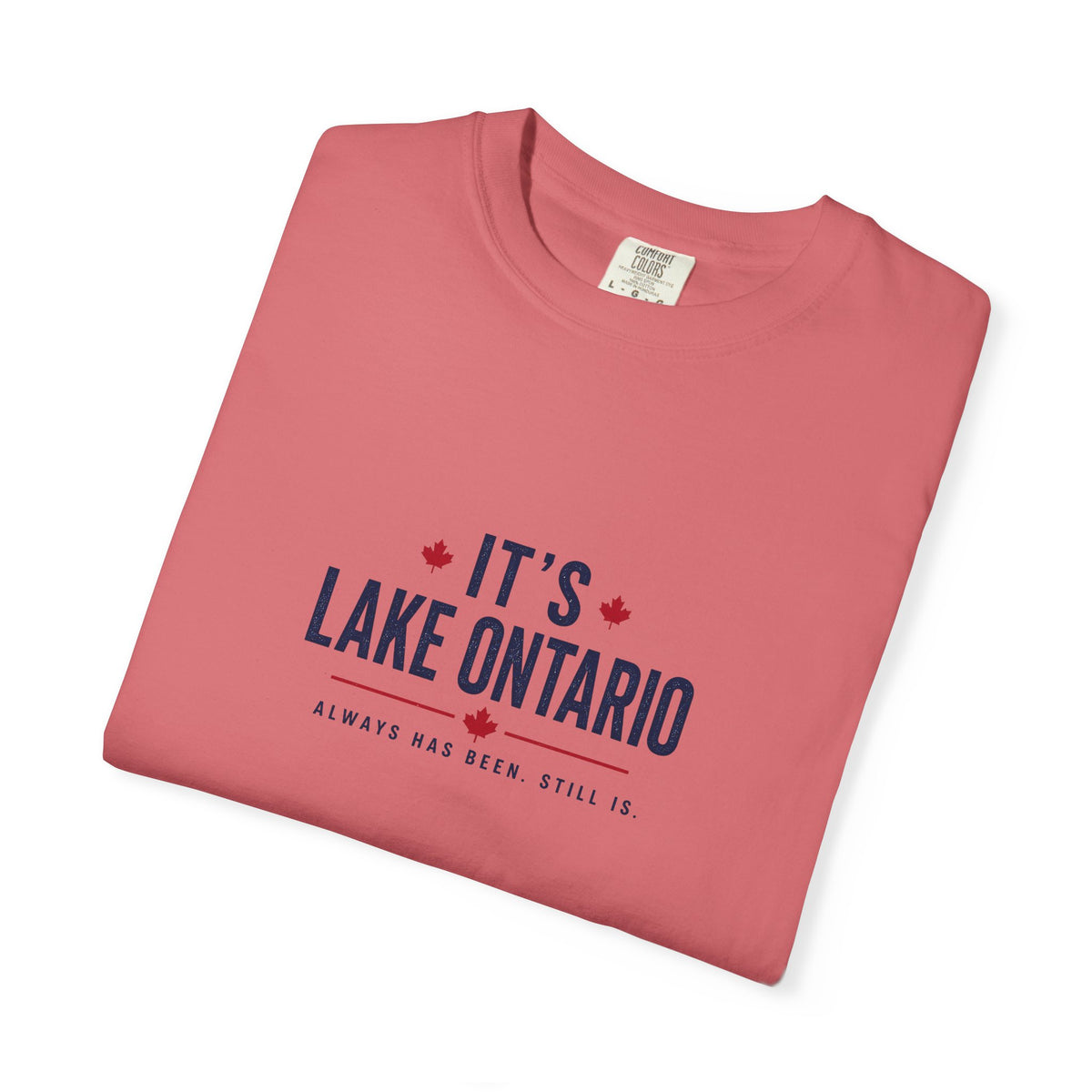 It's Lake Ontario Vintage Wash Tee