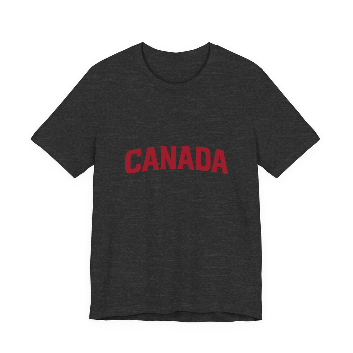 It's Lake Ontario Canada wordmark tee - product photo 9
