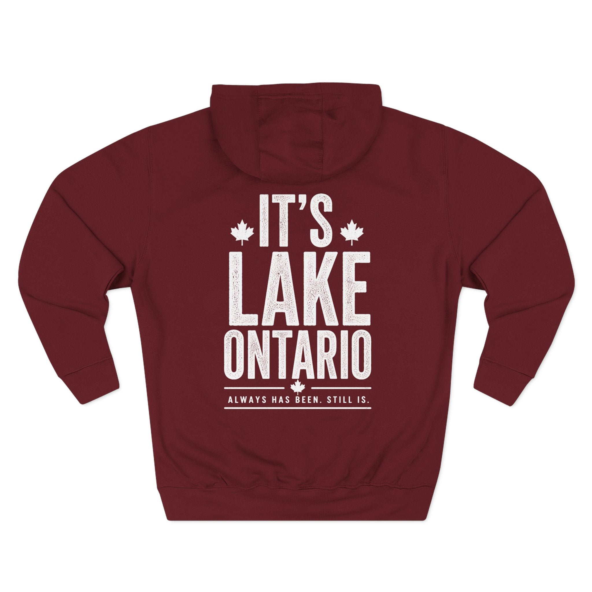 It’s Lake Ontario Hoodie