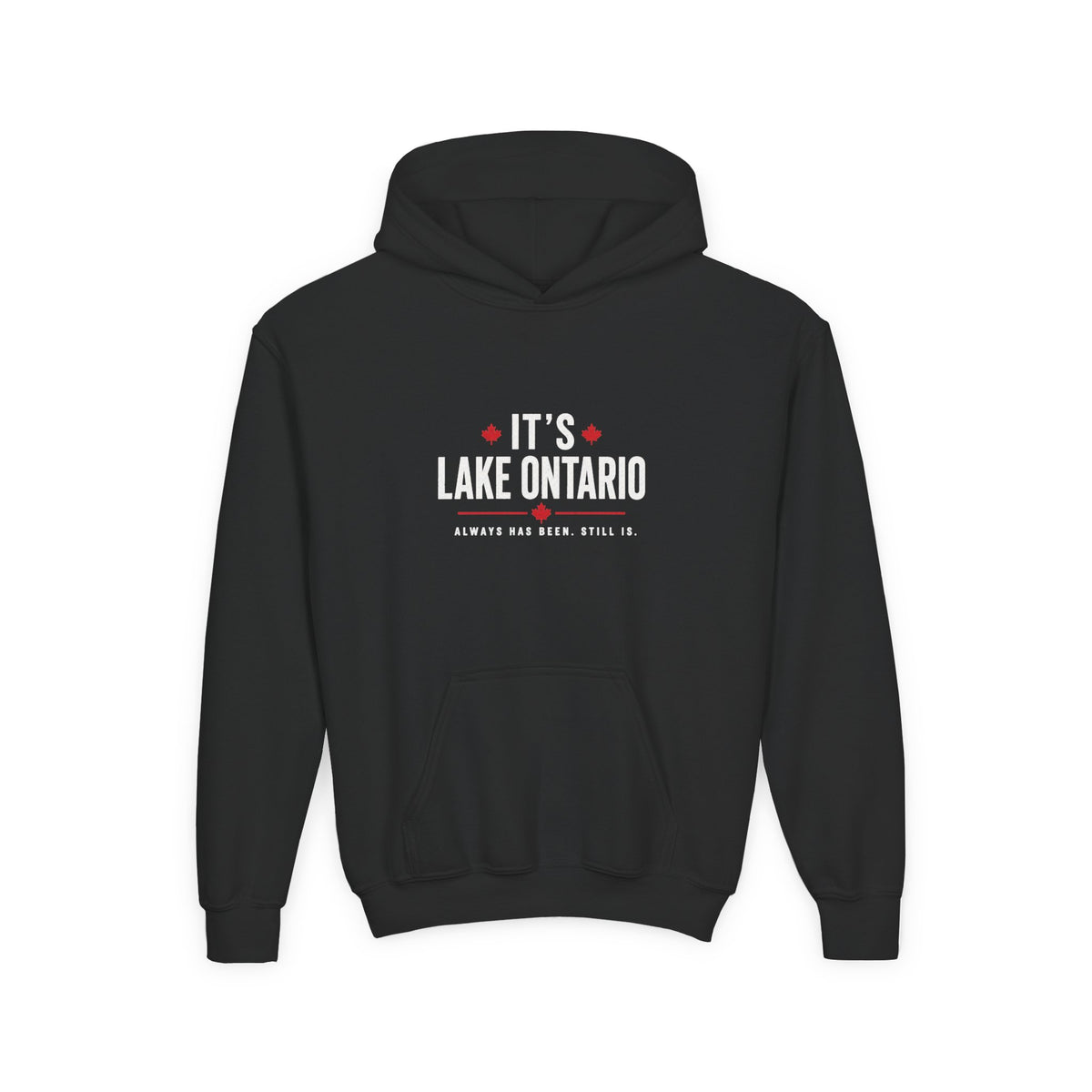 It's Lake Ontario Youth Hoodie