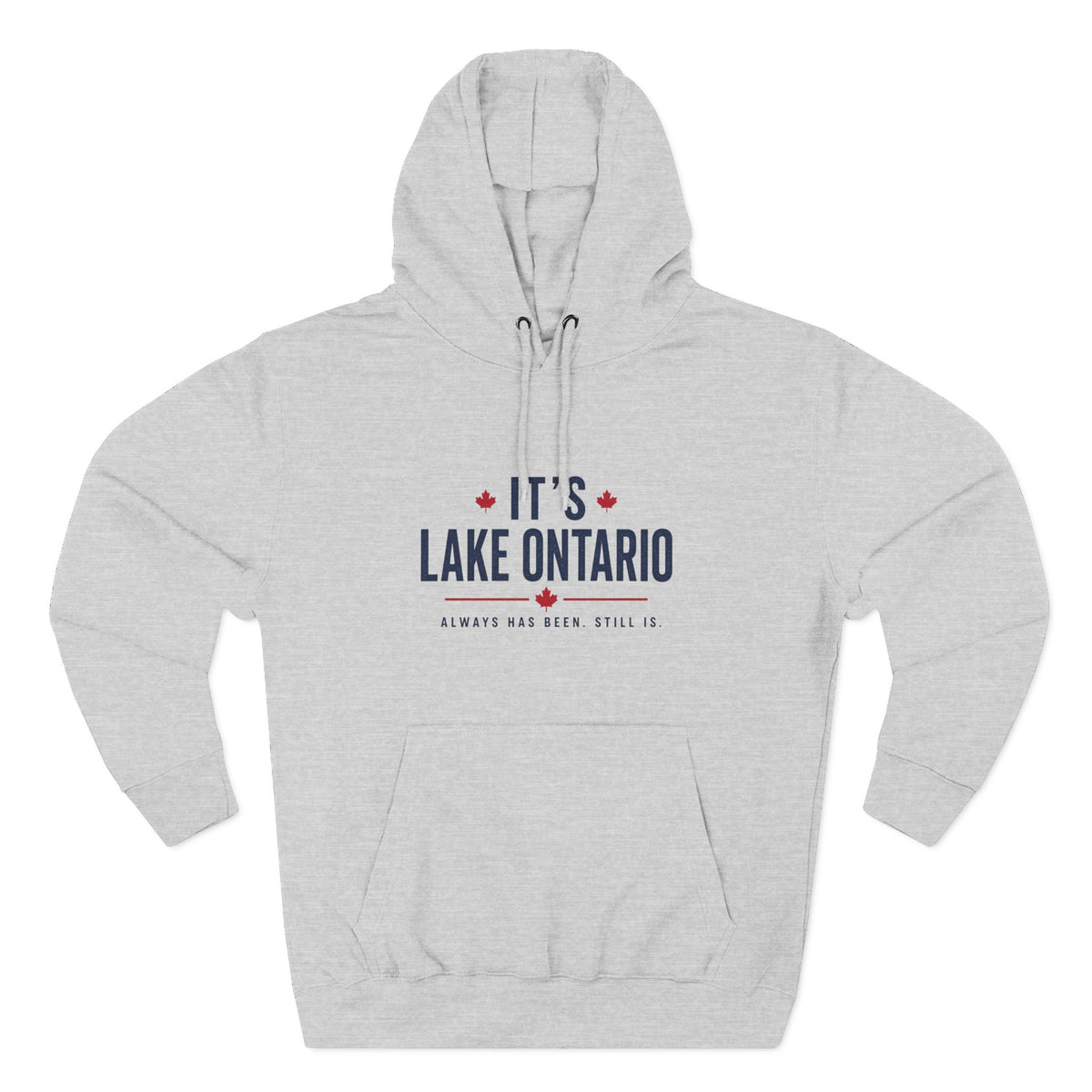 It's Lake Ontario Hoodie