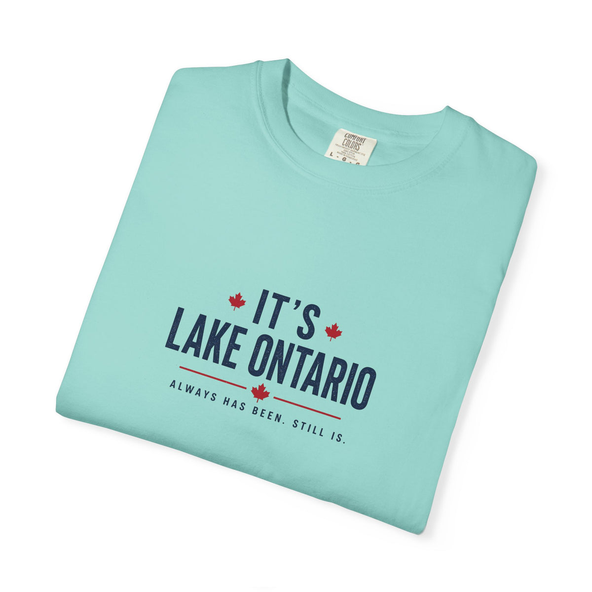It's Lake Ontario Vintage Wash Tee