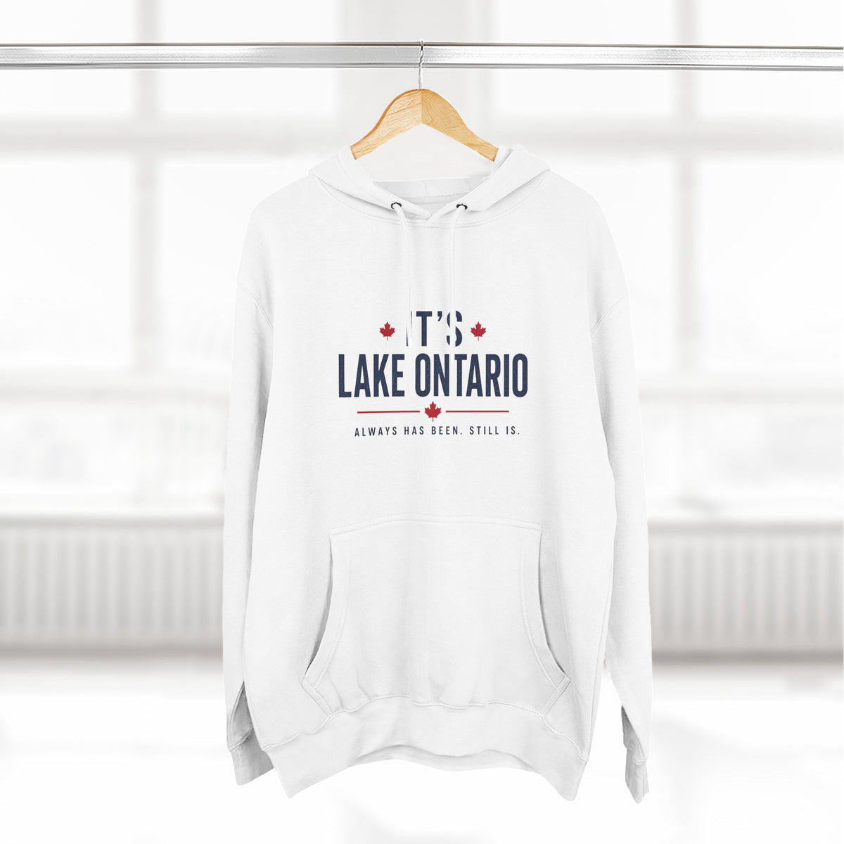 It's Lake Ontario Hoodie