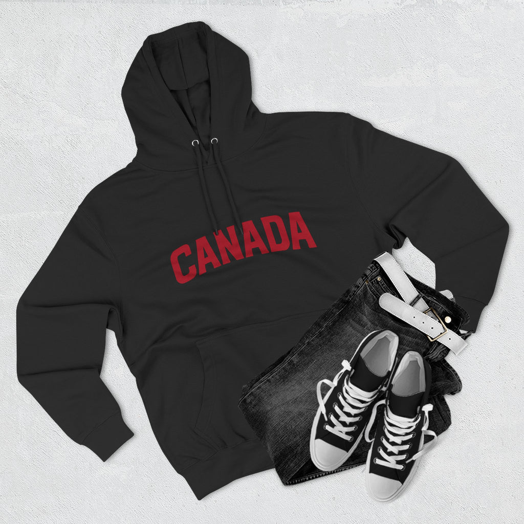 It's Lake Ontario Canada hoodie - product photo 18