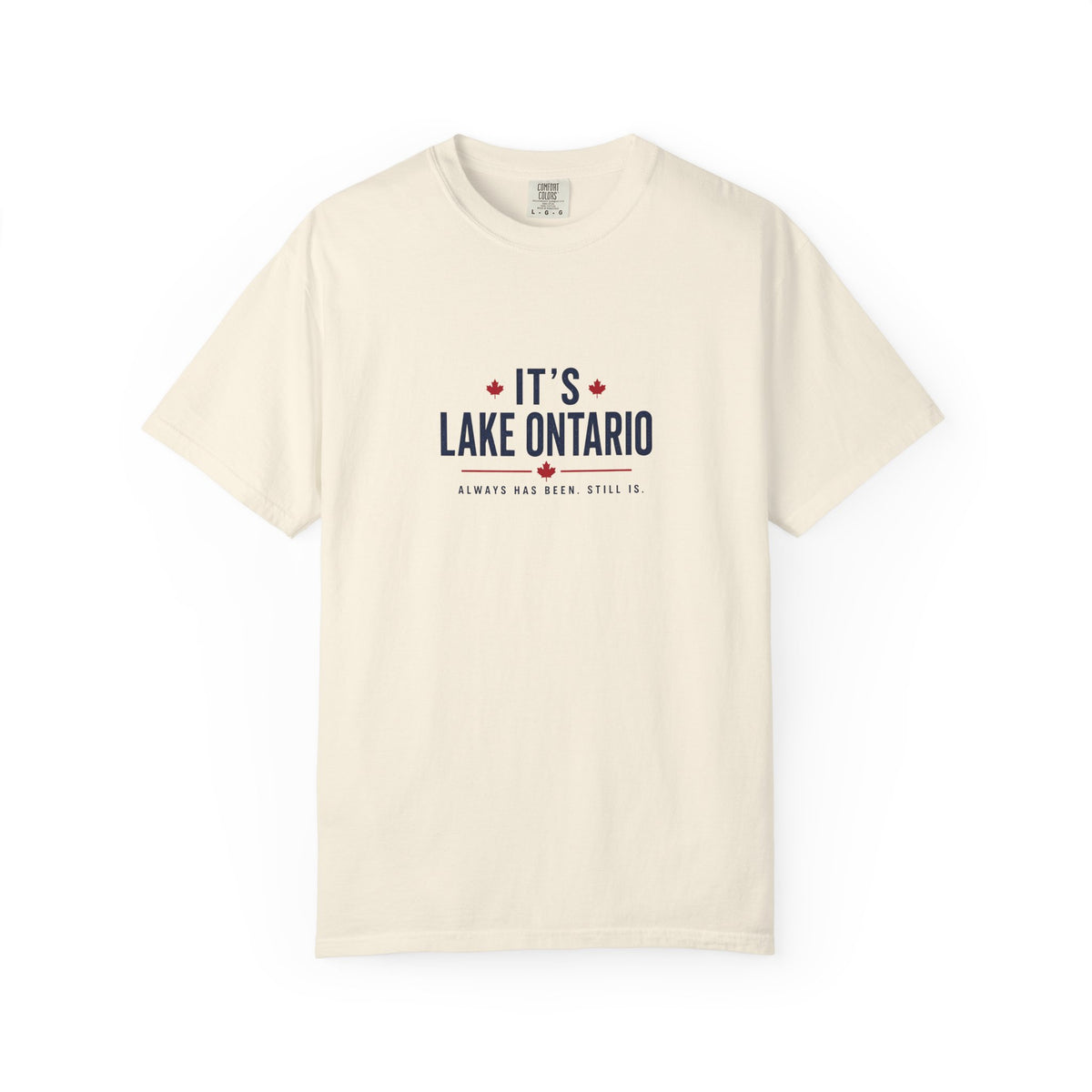 It's Lake Ontario Vintage Wash Tee