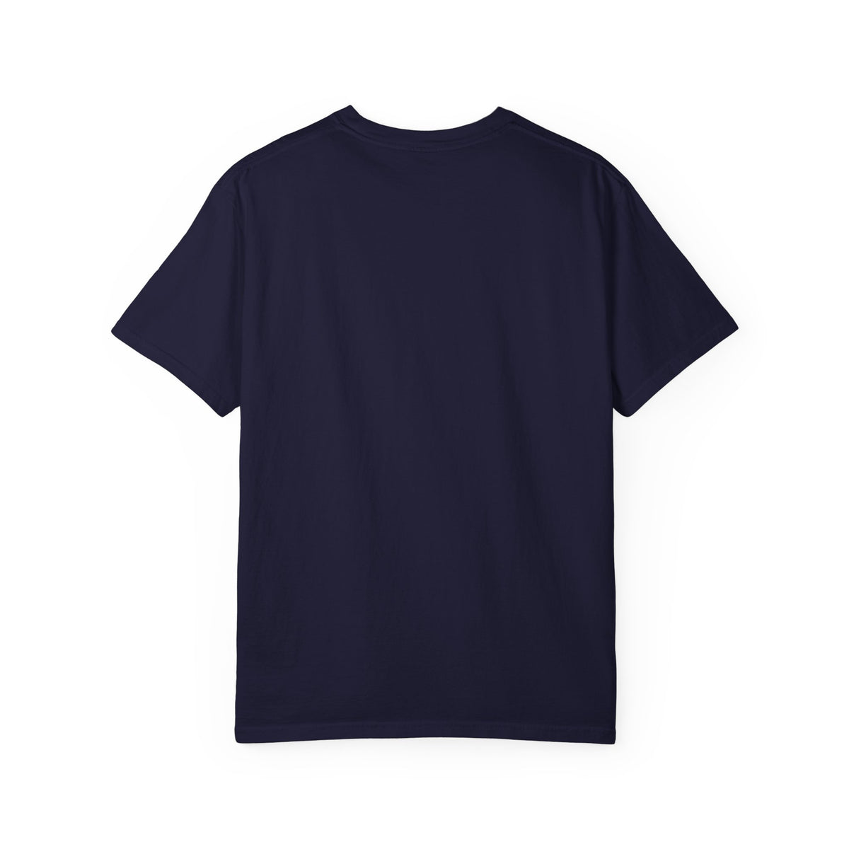Lake Ontario Canada Est. 1615 Vintage Wash Tee