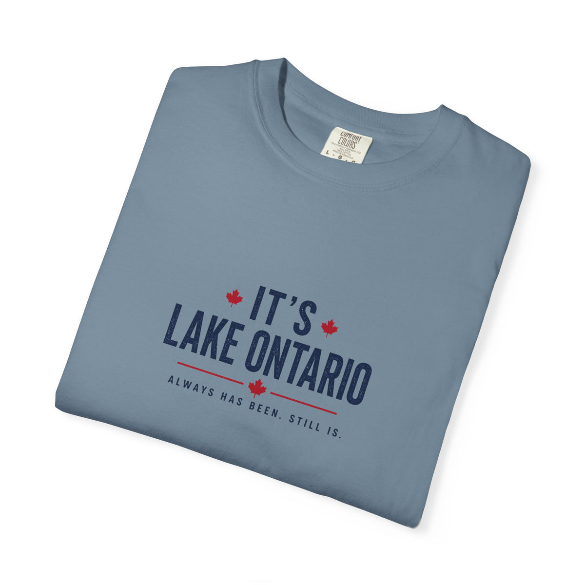 It's Lake Ontario Vintage Wash Tee