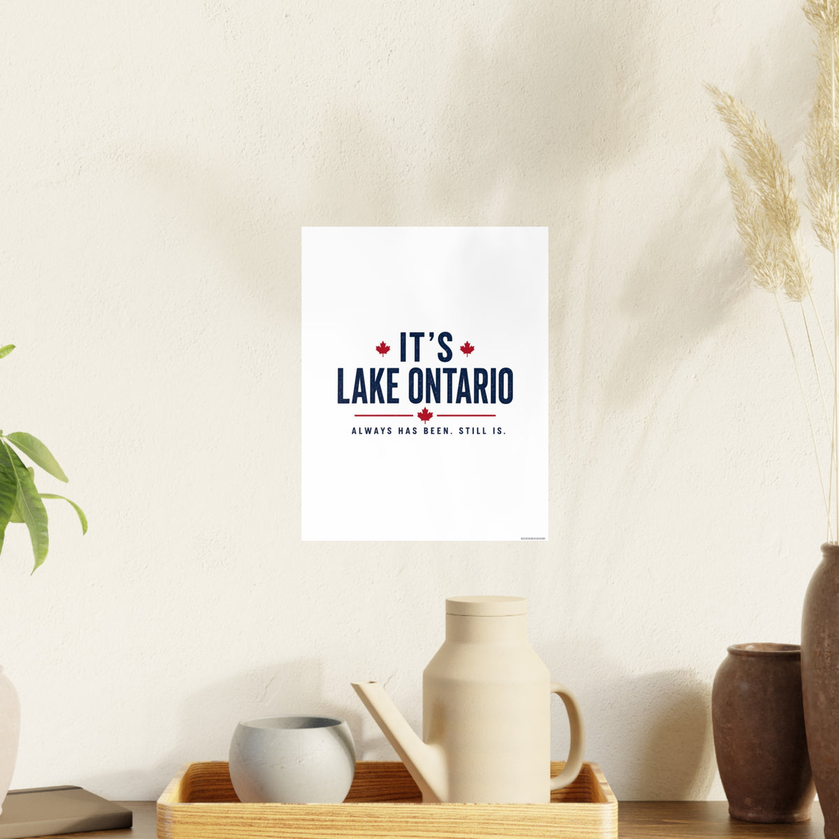 It's Lake Ontario Art Print
