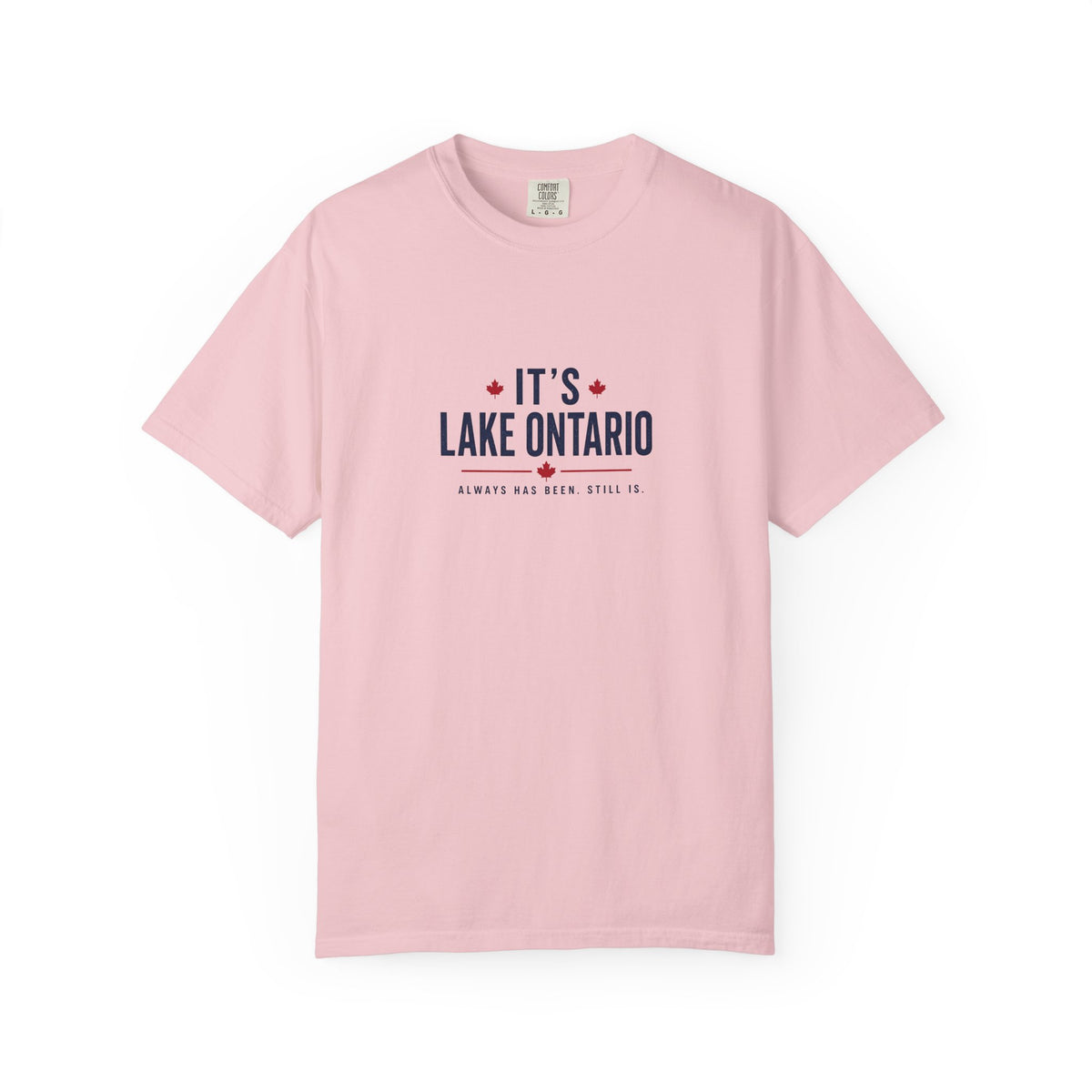 It's Lake Ontario Vintage Wash Tee