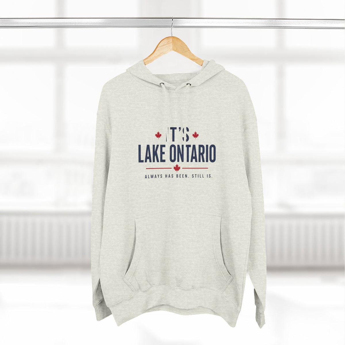 It's Lake Ontario Hoodie