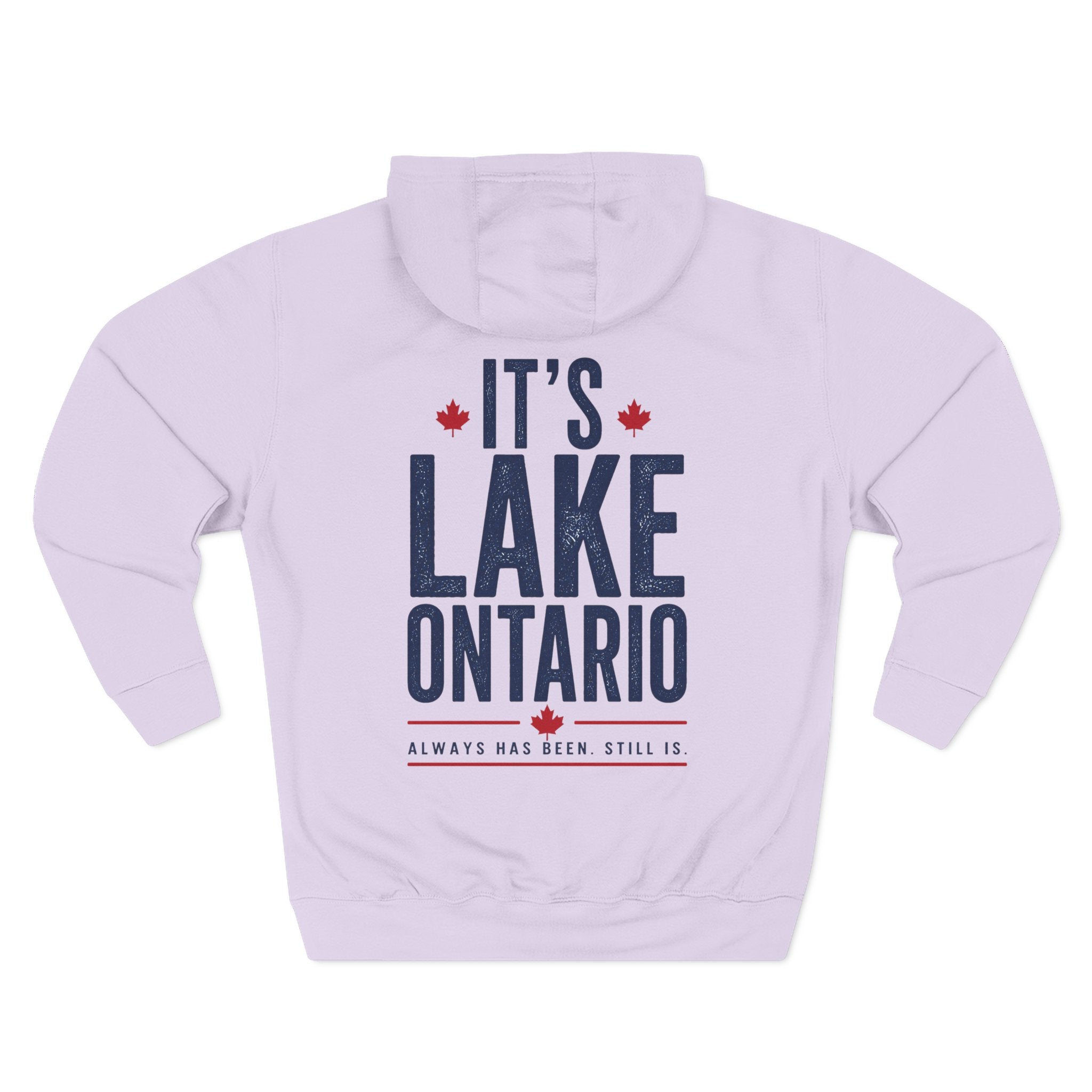 It’s Lake Ontario Hoodie
