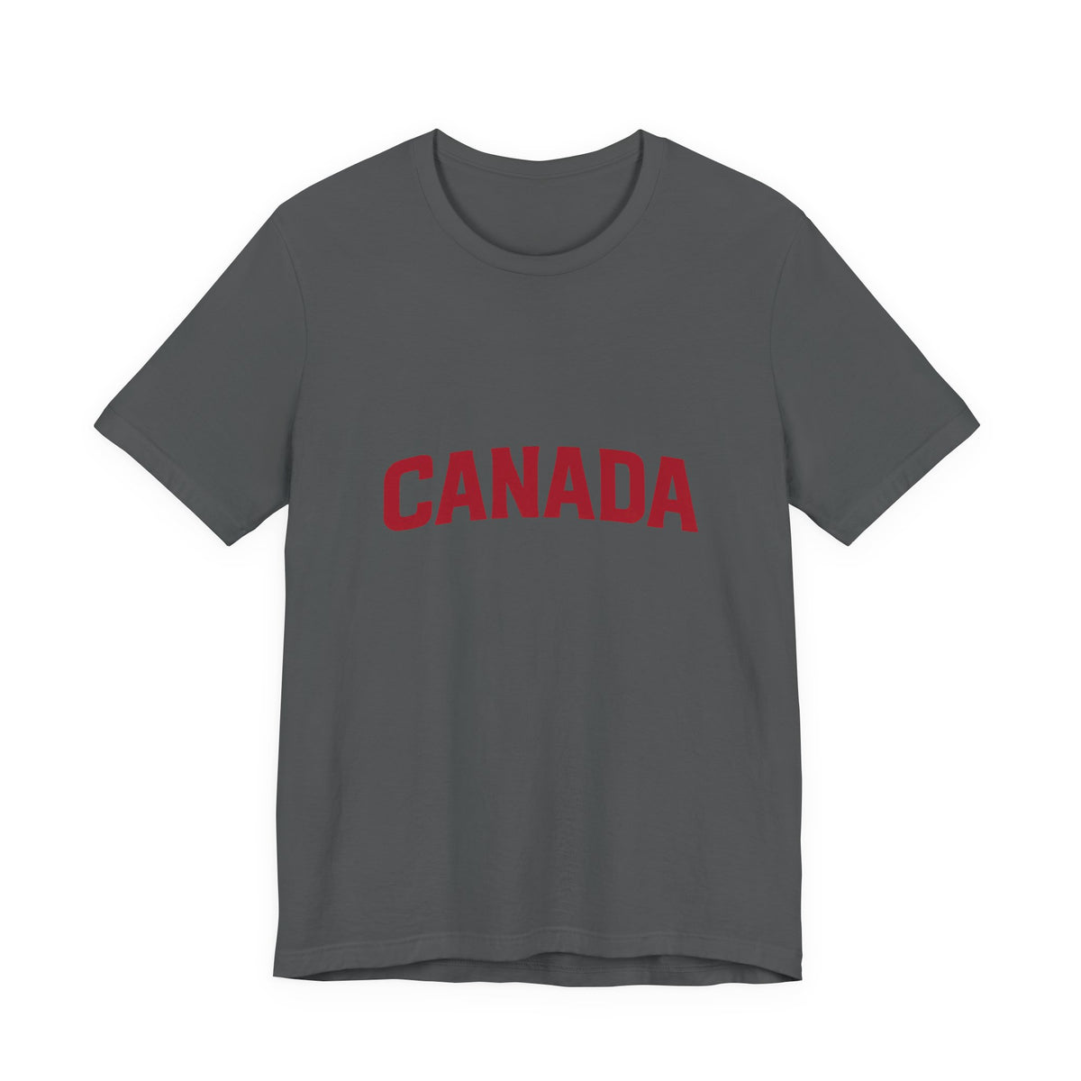 It's Lake Ontario Canada wordmark tee - product photo 8