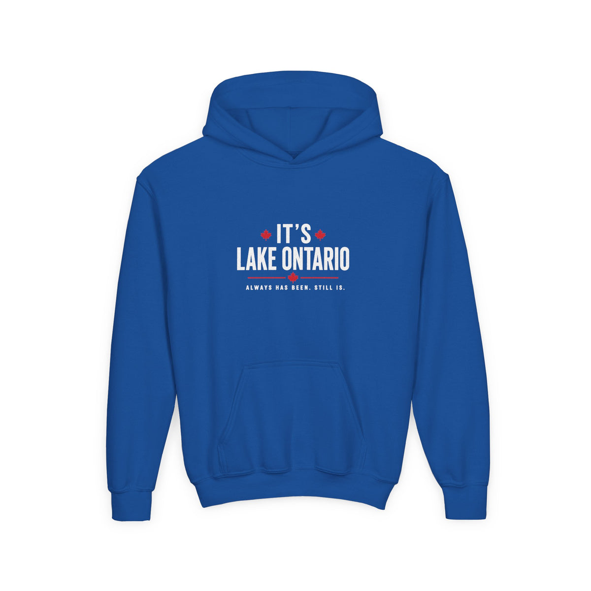 It's Lake Ontario Youth Hoodie