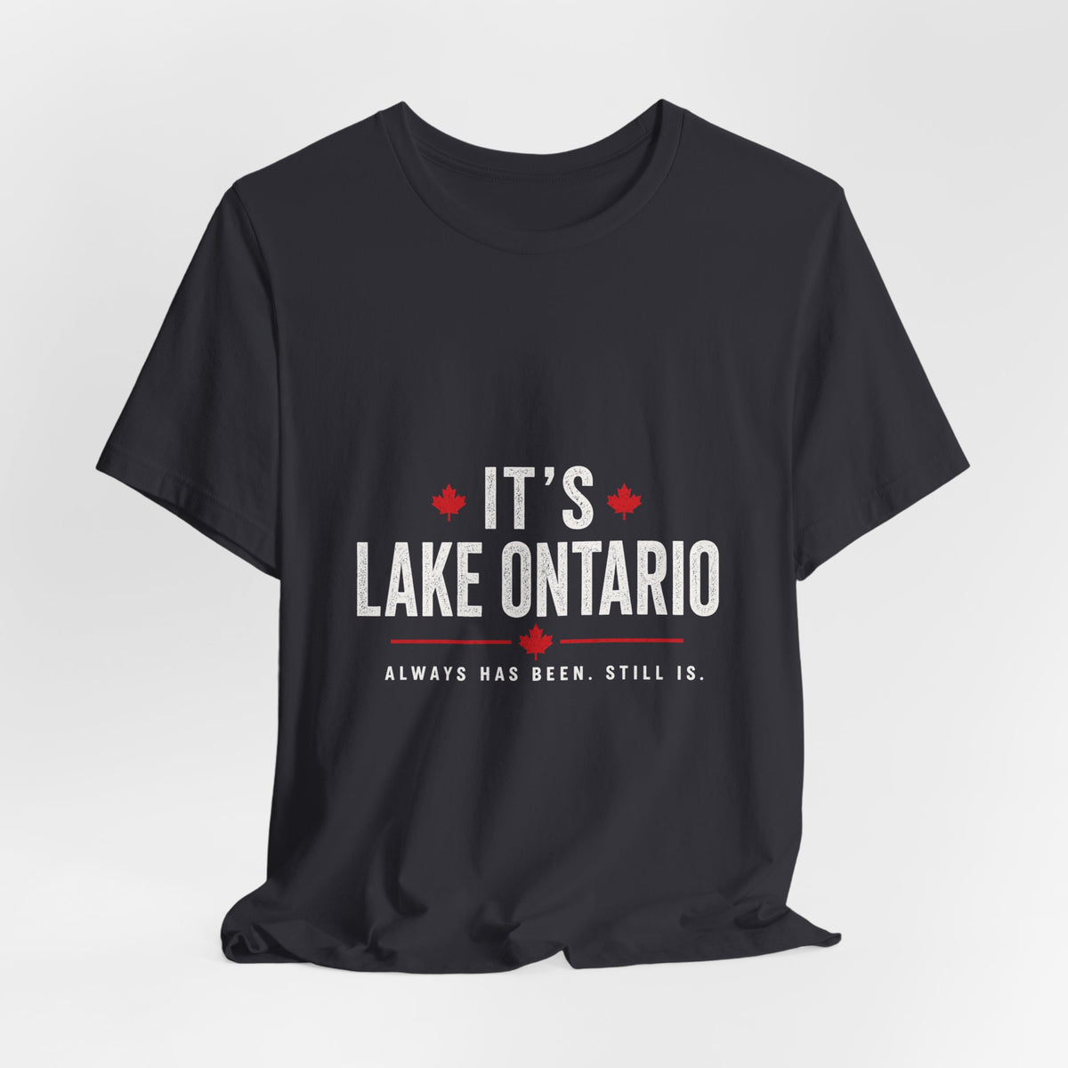 It’s Lake Ontario. Always has been. Still is. 🇨🇦