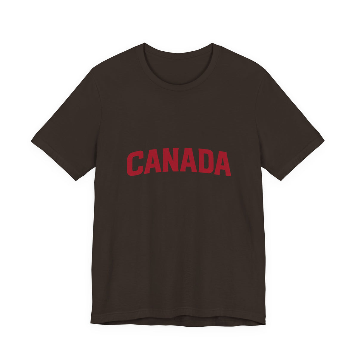 It's Lake Ontario Canada wordmark tee - product photo 3